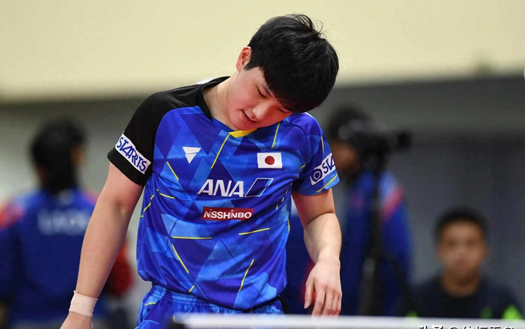 开云下载-日本队绝杀韩国队，张本智和高光表现