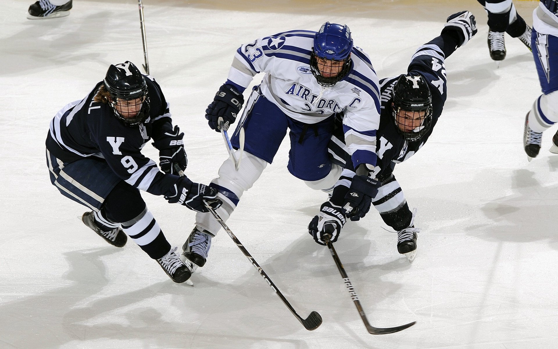 开云体育官方网站-德甲争冠战与篮网轻取浙江队，体育世界的平行叙事